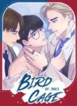 Bird-Cage